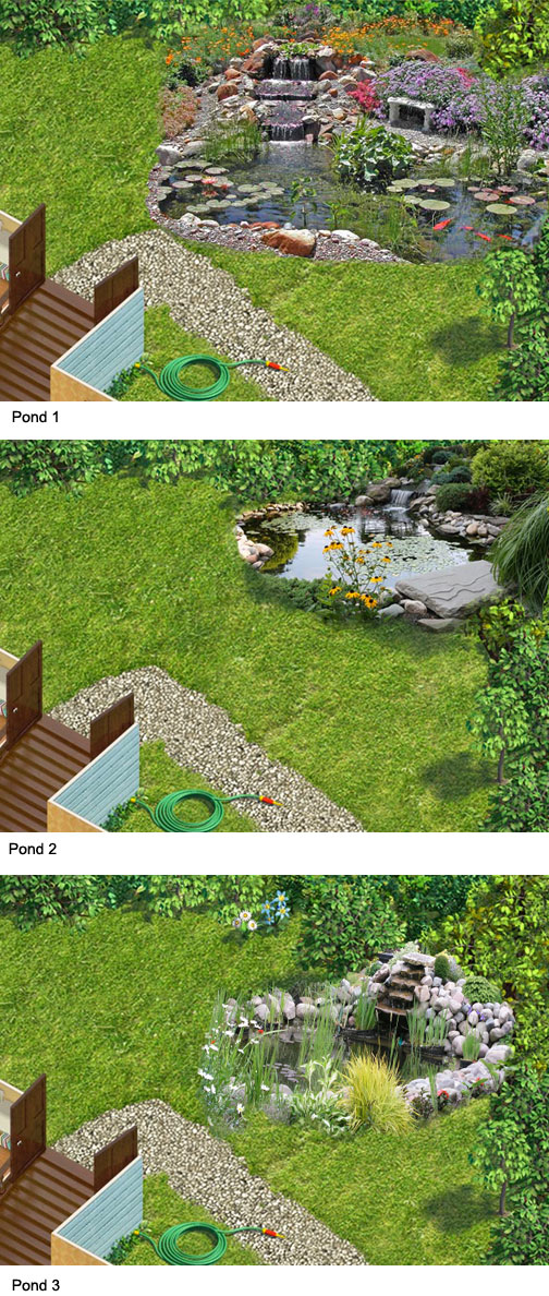 pond-screenshots.jpg