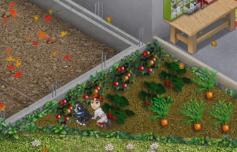 Autumn Has Arrived Last Day Of Work Official Forums