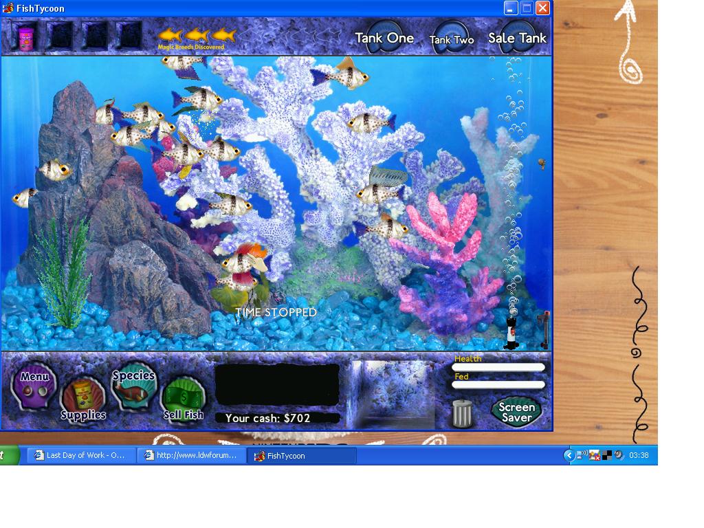 1151-FT1.JPG