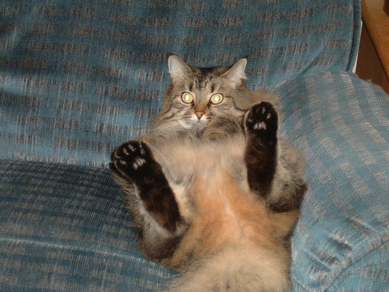 1600-Bigfoot.JPG