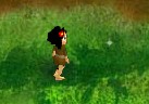 2624-firefly.jpg