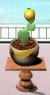 2665-WeirdMelaPearCactus.jpg