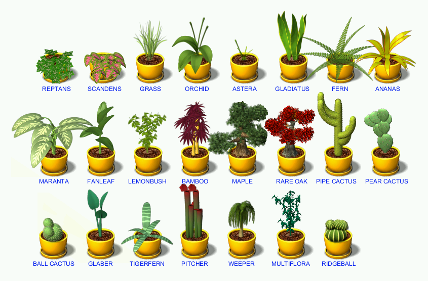 a picture guide to the plants? - Last Day of Work Official Forums