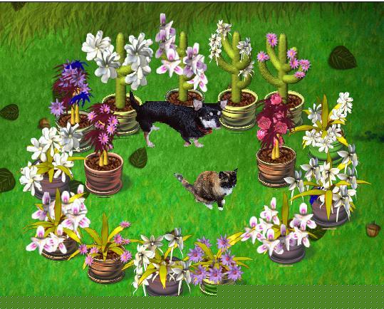2864-FlowersforKad.jpg