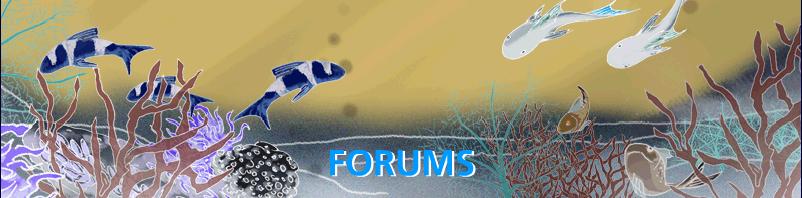 4332-invertedbannertwo.jpg