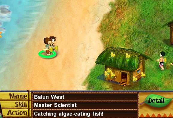 Catching the algae-eating fish.JPG