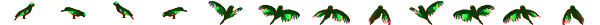 bird.png
