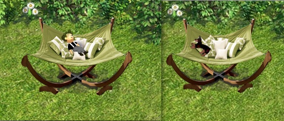 hammock.jpg