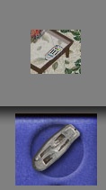 remoteVsCollectible.jpg