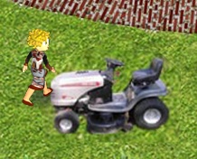 lawnmower.jpg