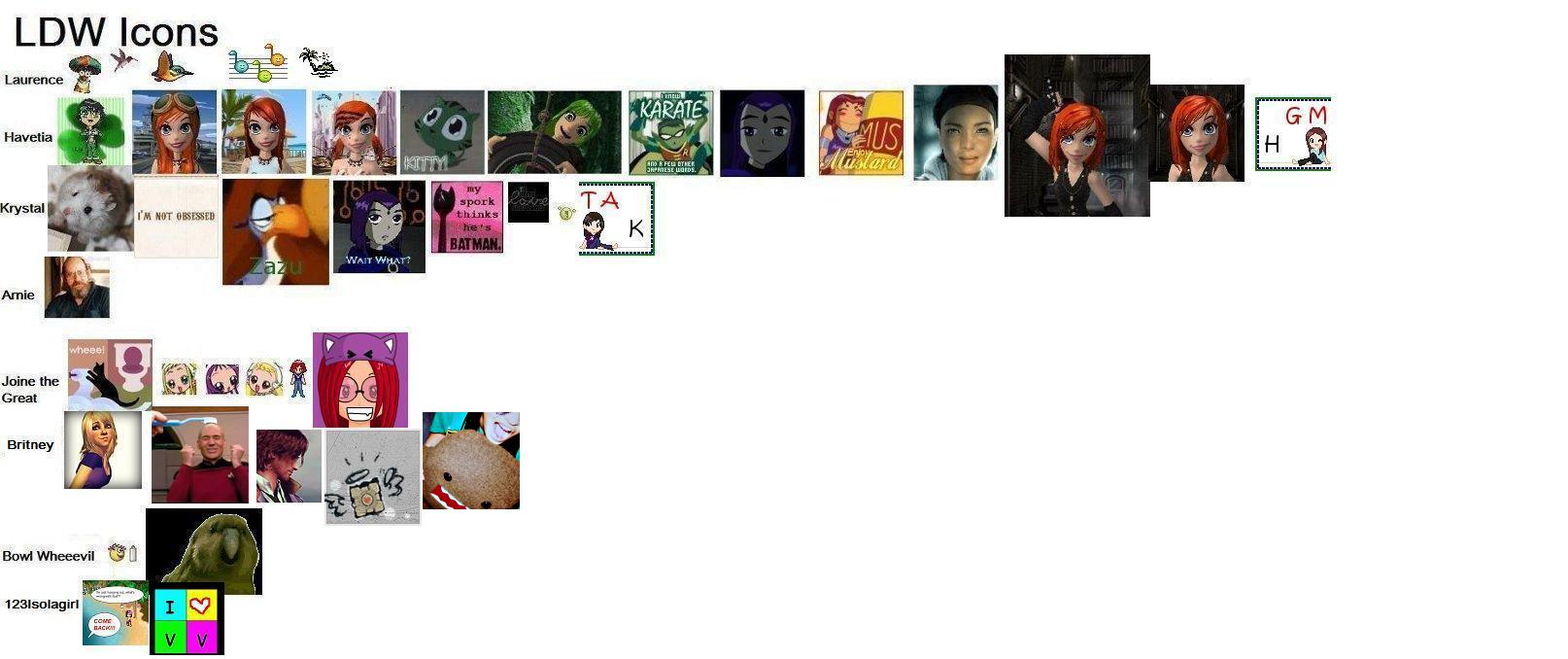 Avvi collection.jpg