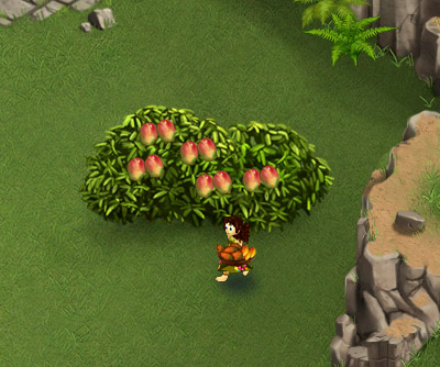 newnanibush.png